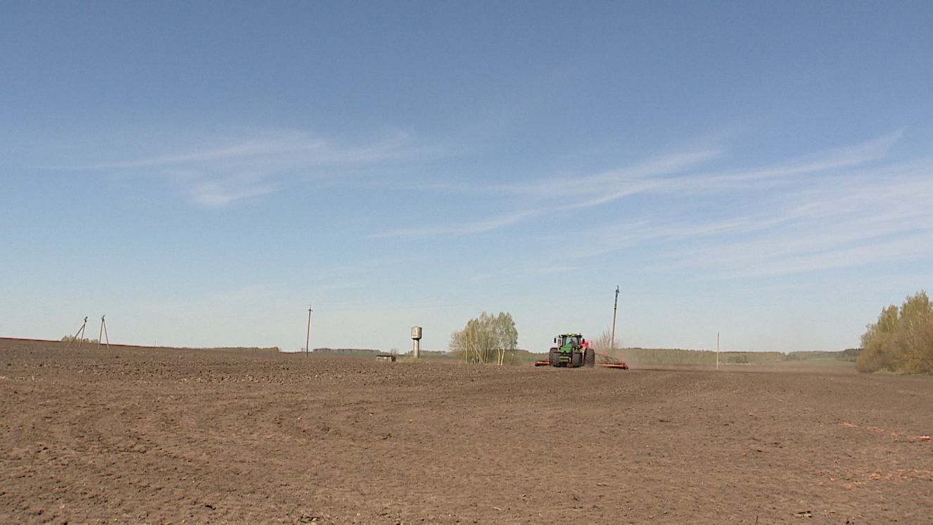В Брянской области посевная компания проходит в круглосуточном режиме