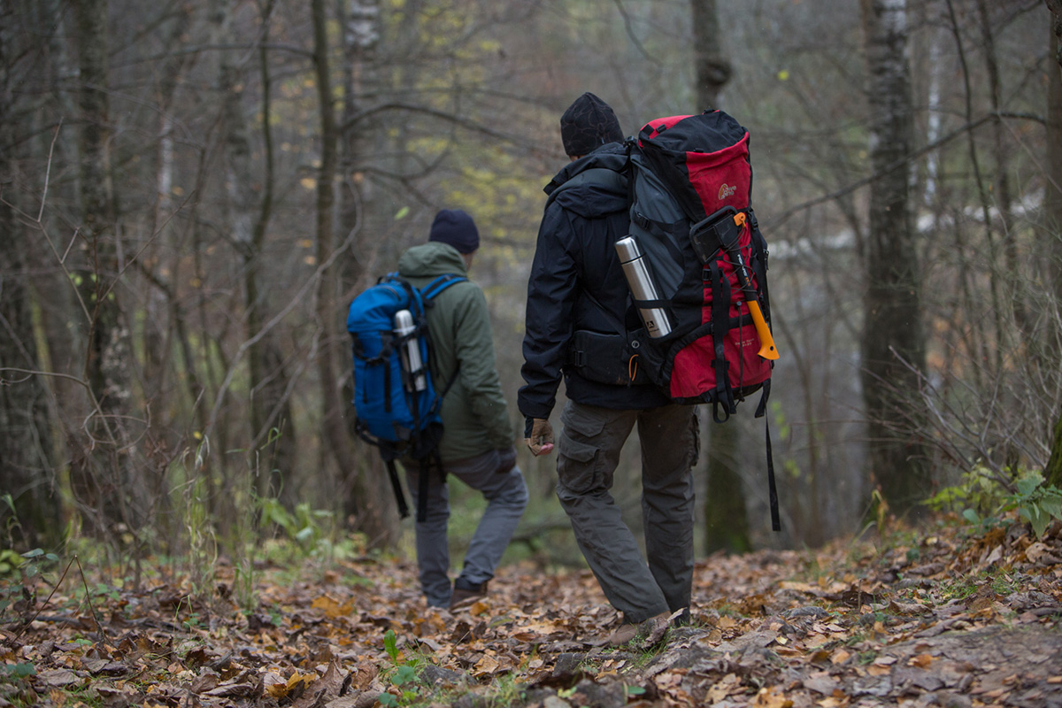 При походе в лес