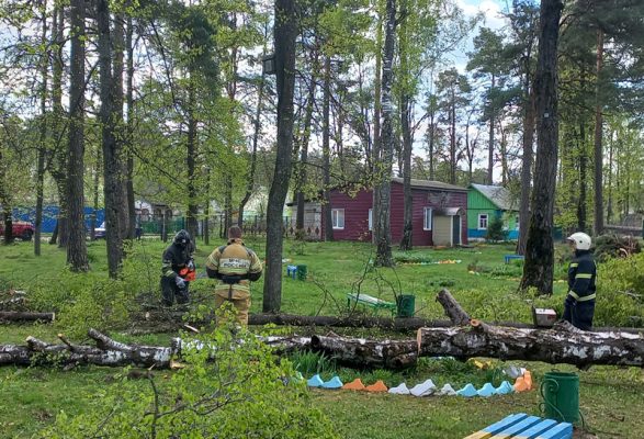 В Жуковском округе устраняют последствия урагана