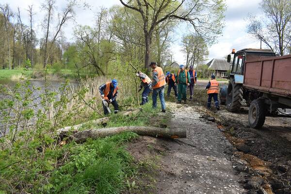 С информацией о повреждениях брянцы должны обращаться в ЕДДС