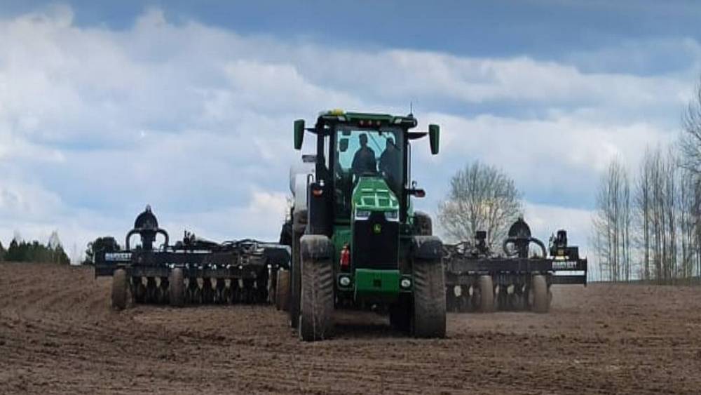Четверть яровых зерновых культур посеяно на Брянщине