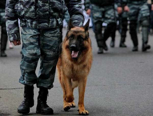 Меры безопасности в Брянске 9 мая будут усилены