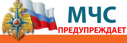 Главное управление МЧС России по Брянской области призывает граждан к бдительности