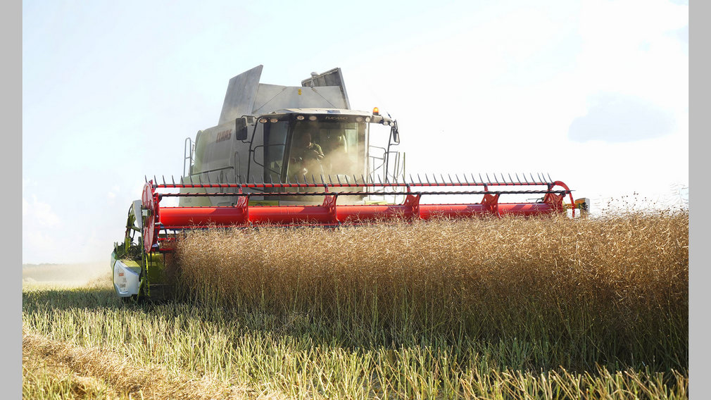 В этом году сельхозпредприятия Брянщины приобретут около 85 зерноуборочных комбайнов