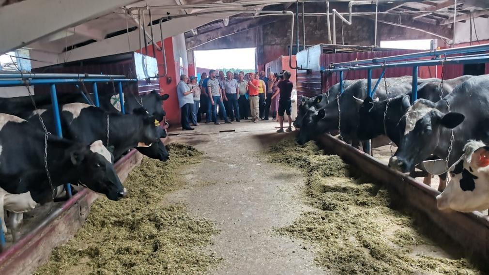 В Дубровском районе прошел семинар по кормозаготовке