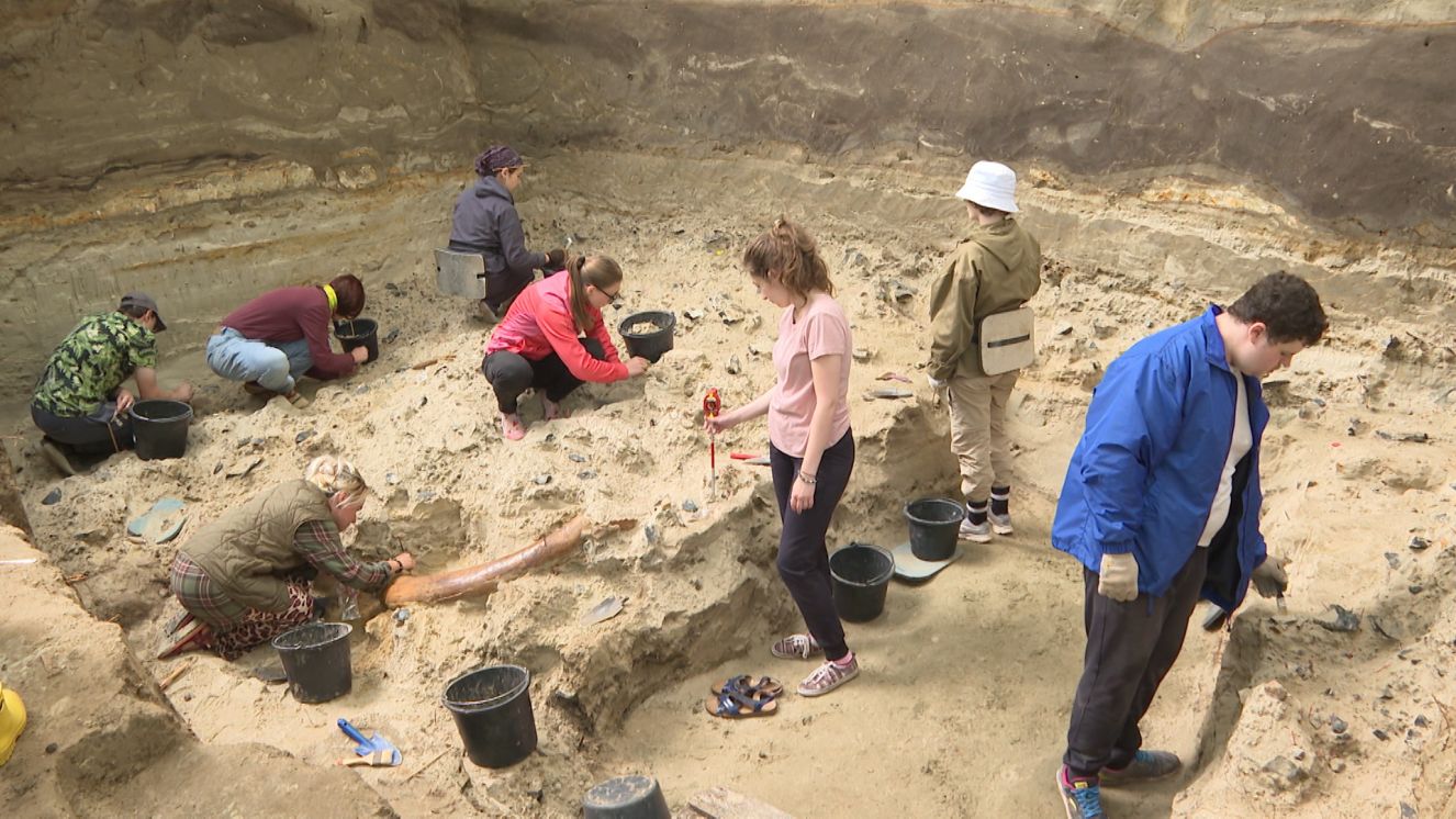 Археологическая экспедиция обнаружила редкий артефакт в Хотылёво