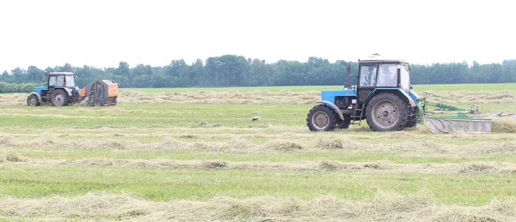 В Унечском районе началась пора сенокоса
