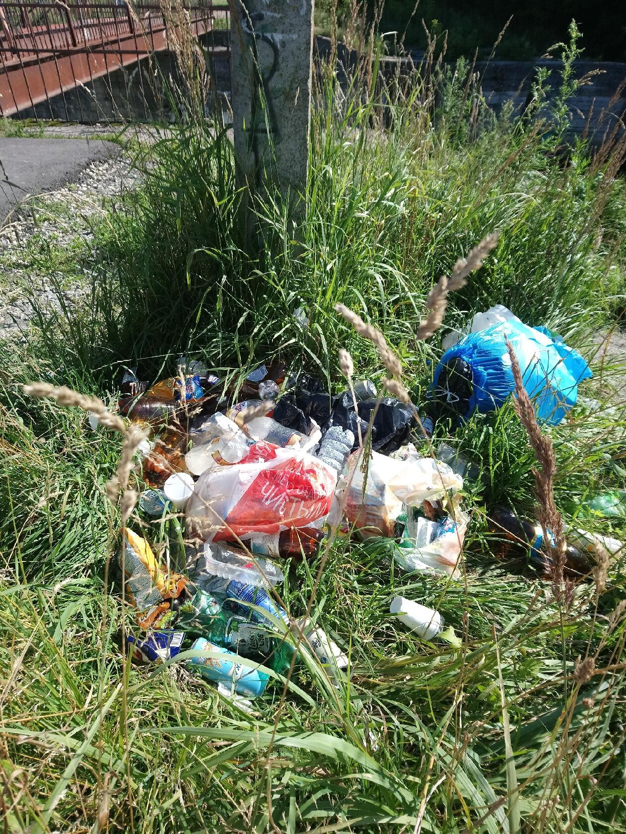 Любите ли вы свой город?