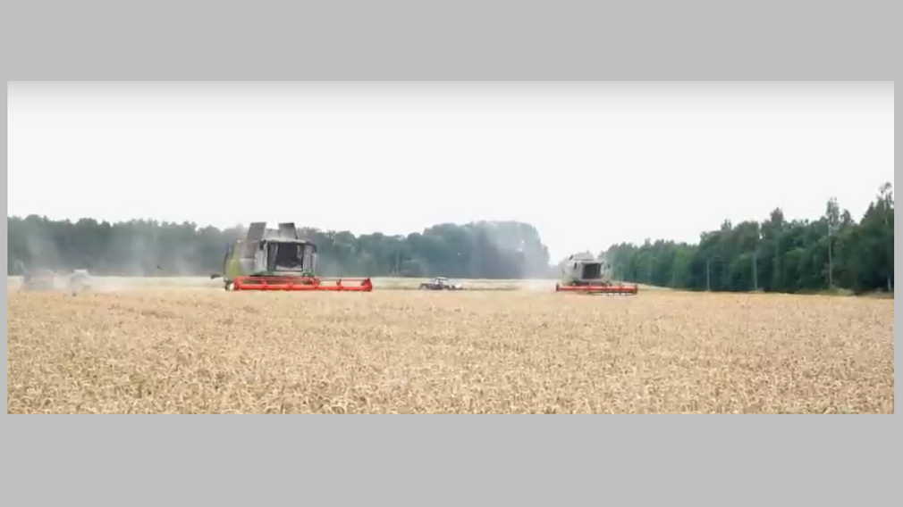 Губернатор Александр Богомаз посвятил видеоролик брянским аграриям