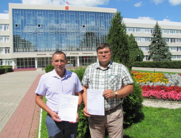 В этом году сорта малины и смородины брянского аграрного госуниверситета получили патенты