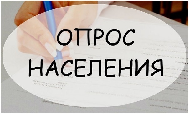 Жителей Брянской области приглашают принять участие в опросе по оценке эффективности деятельности руководителей муниципальных районов и городских округов