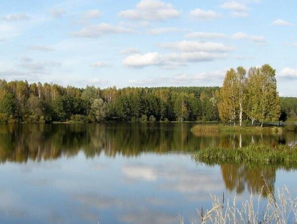 На озере Новом в Унече железнодорожник спас утопающего человека