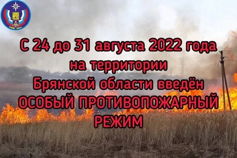На территории Брянской области введен особый противопожарный режим