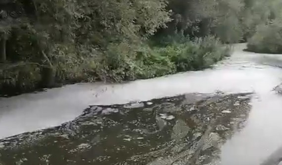 Камера стационарного наблюдения зафиксировала сброс из трубы ТнВ «Сыр Стародубский»