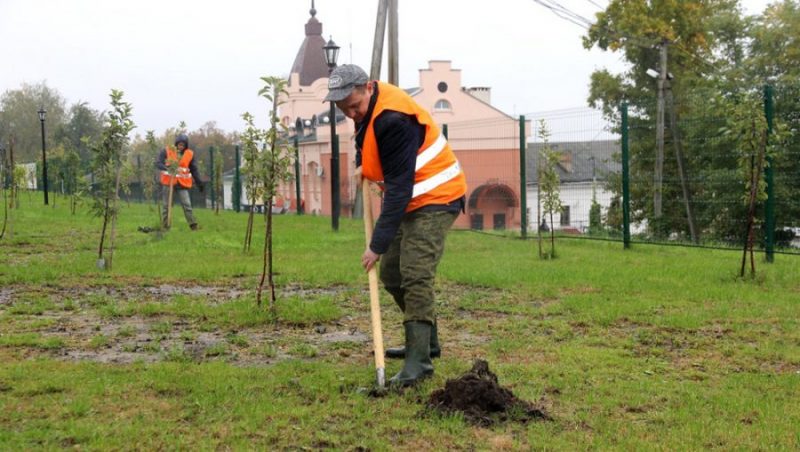 В Брянске в саду Победы высадили еще 21 яблоню