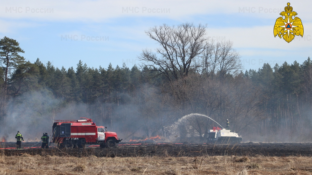 В 12 муниципалитетах Брянщины установлен противопожарный режим