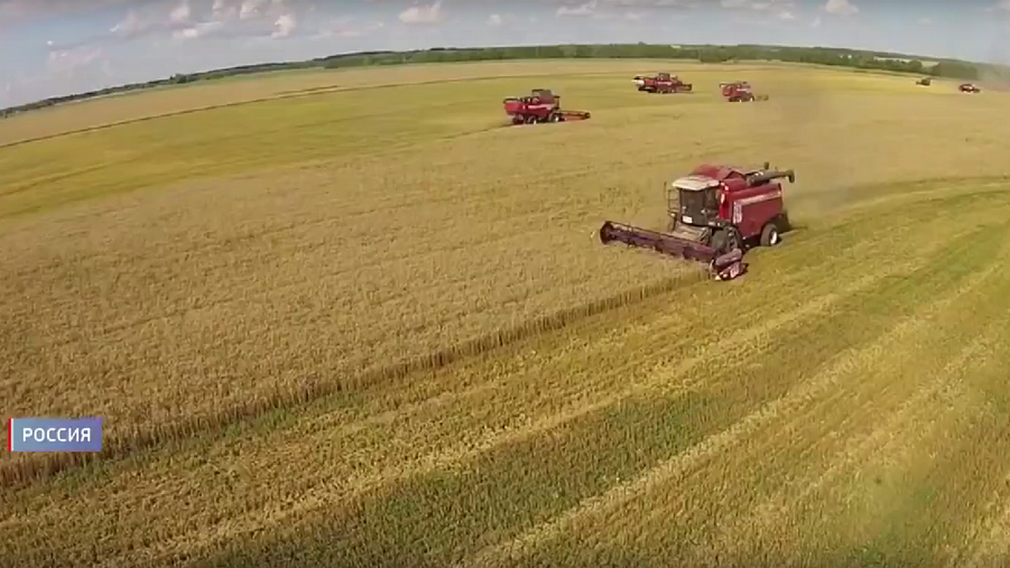 О российско-белорусской кооперации рассказали на белорусском республиканском телеканале