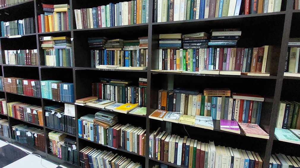 В Брянске 27 и  28 сентября откроются первые модельные детские библиотеки