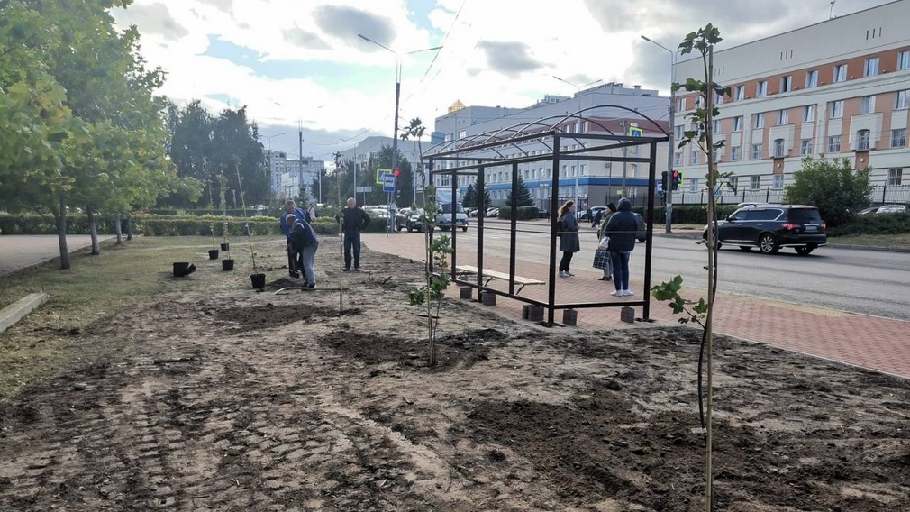 В Советском районе Брянска озеленяют улицу Крахмалева