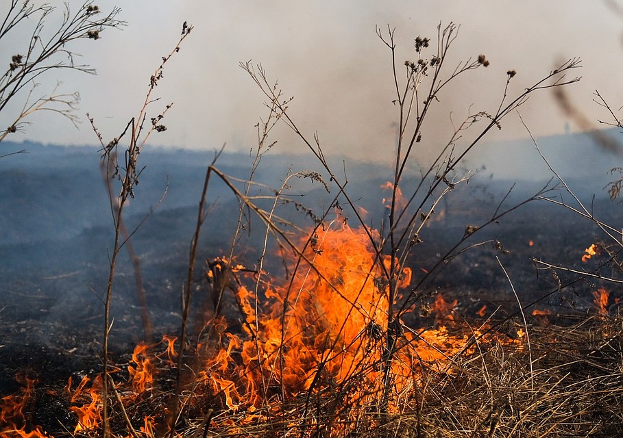 Профилактический месячник «Сухая трава»