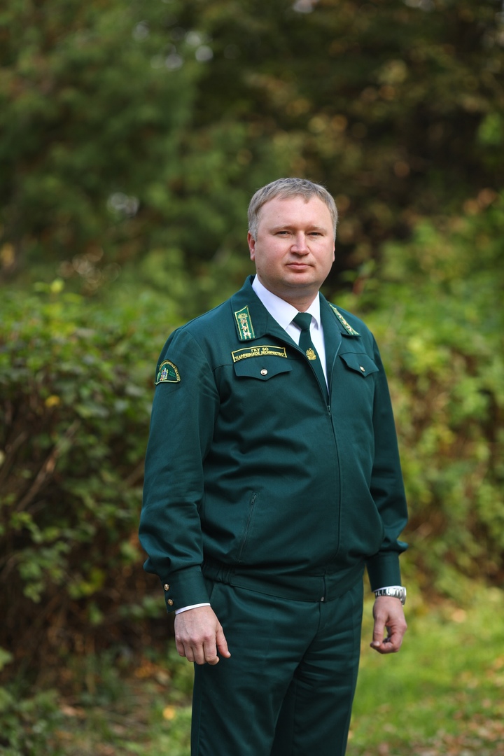 Жизнь посвятил лесу