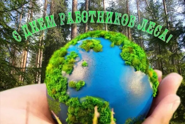 Уважаемые работники и ветераны лесного хозяйства!