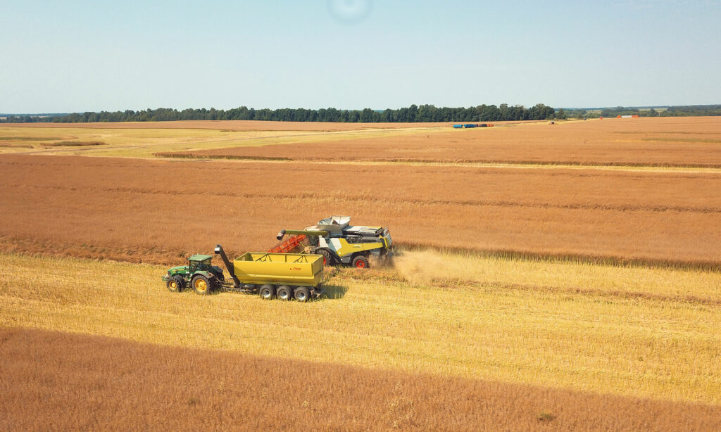 Брянским аграриям выделено 550,6 мн рублей на производство масличных культур