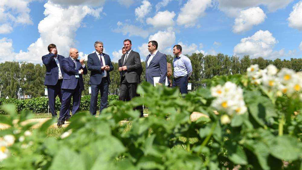 Брянская область вышла в лидеры в России по экспорту продукции АПК