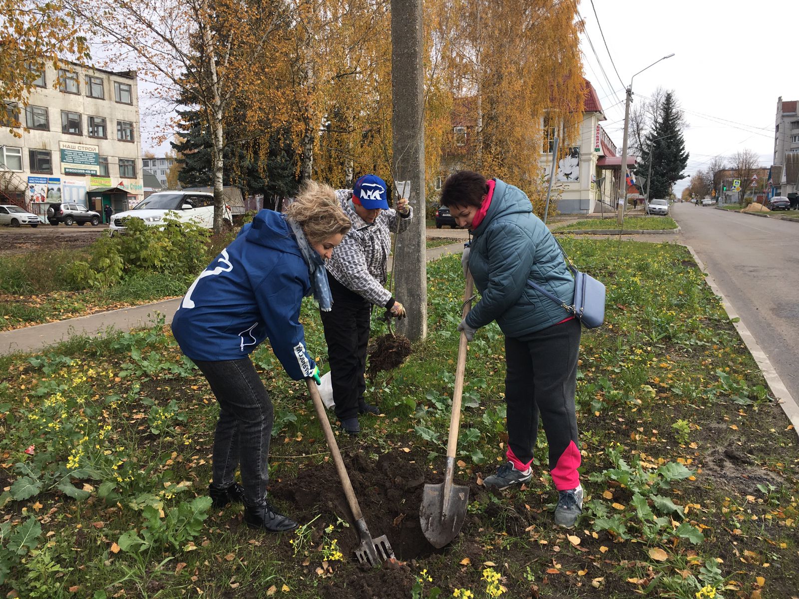 В Карачеве высадили 210 молодых саженцев красной рябины вдоль улицы 50 лет Октября