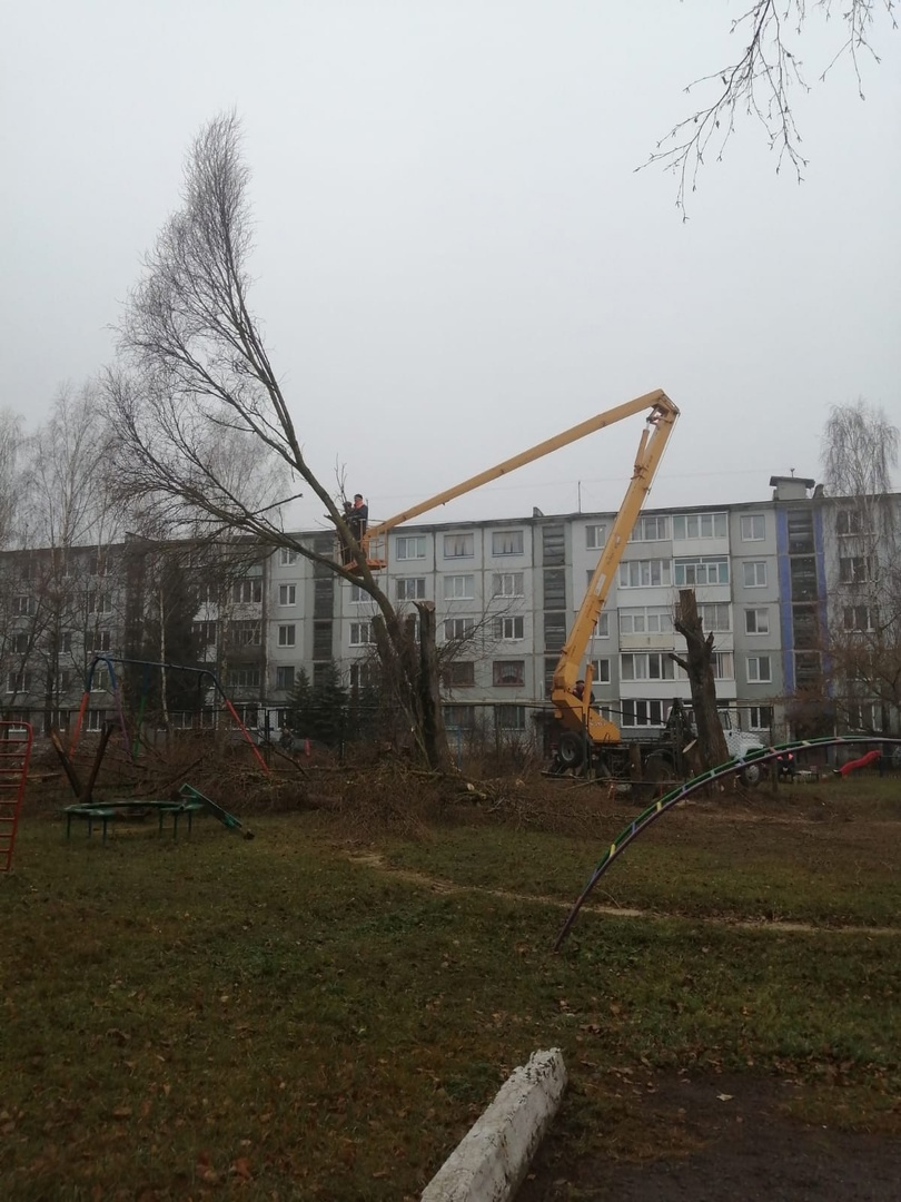 Проблема аварийных деревьев