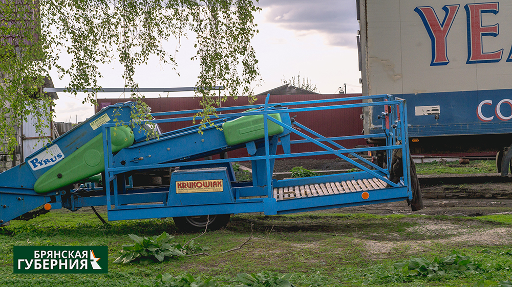 Рост производства в сельском хозяйстве Брянской области составил 106,6%