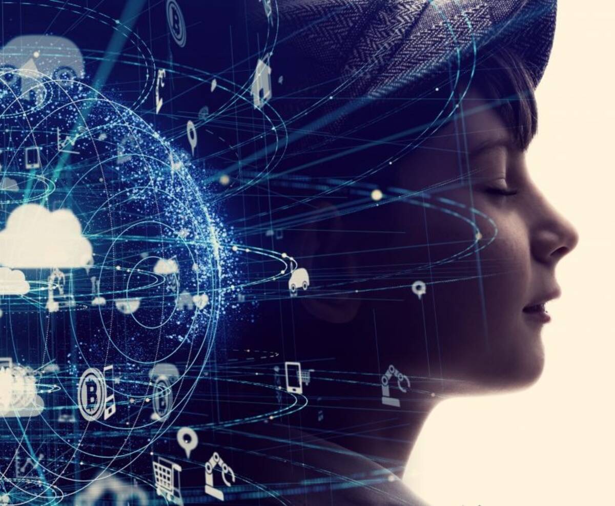 В будущем году 41 брянская школа будет обеспечена высокоскоростным интернетом