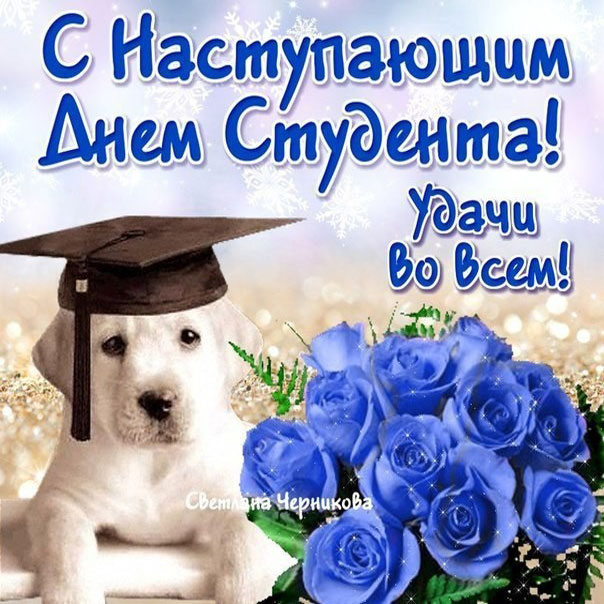 «Кто не был студентом, тому не понять…»