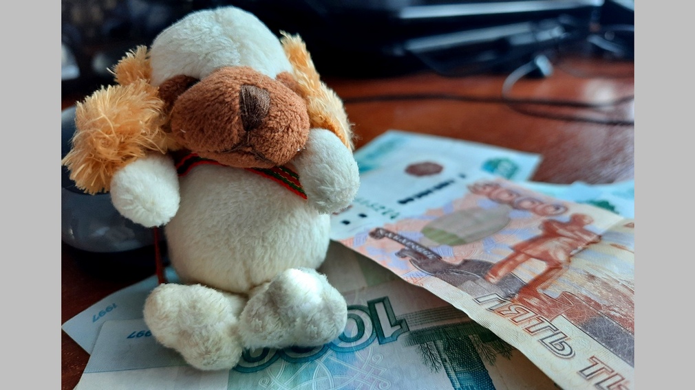 Брянцам рассказали о выплате на детей до 3 лет из материнского капитала в 2023 году