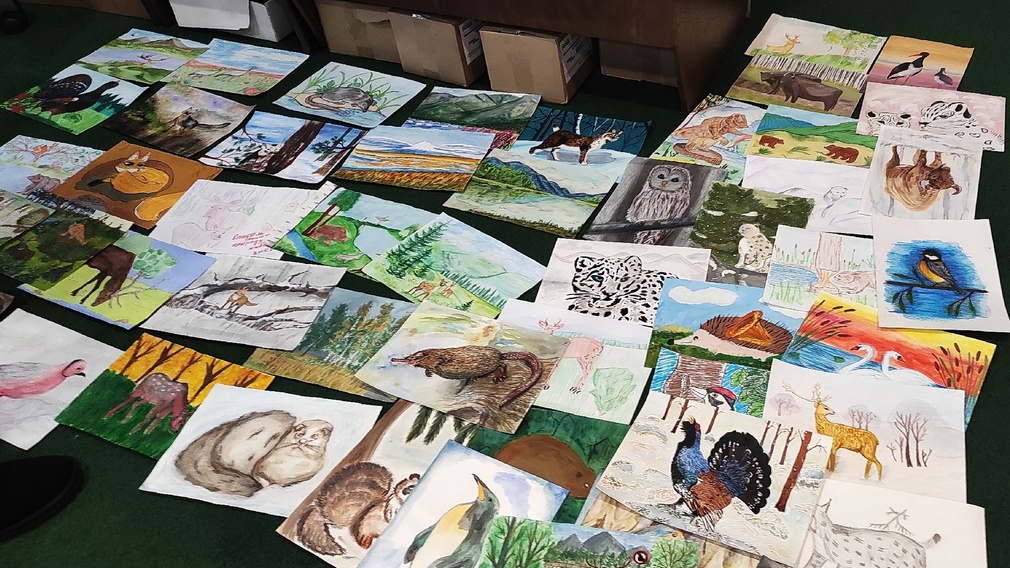 В конкурсе рисунков «Рисуем заповедную Россию» победили 92 юных брянца