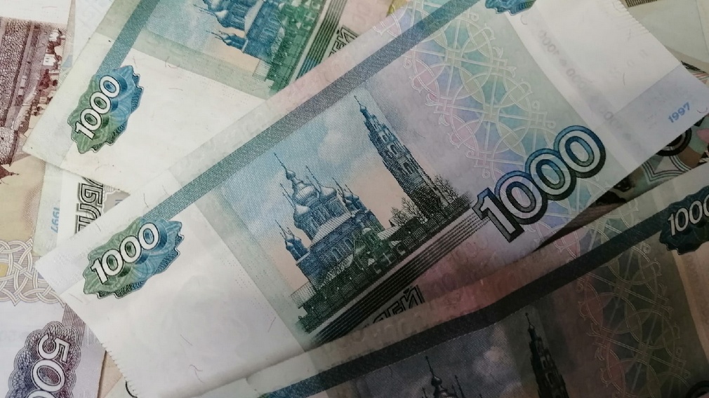 Более 200 млн рублей за счет электронного магазина было сэкономлено властями Брянщины