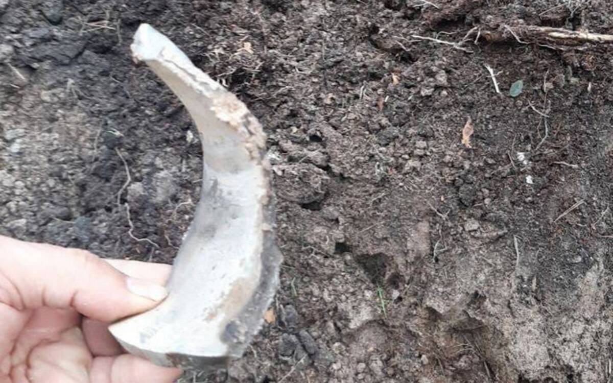 Александр Богомаз сообщил о сбитых ПВО ВС РФ украинских беспилотников