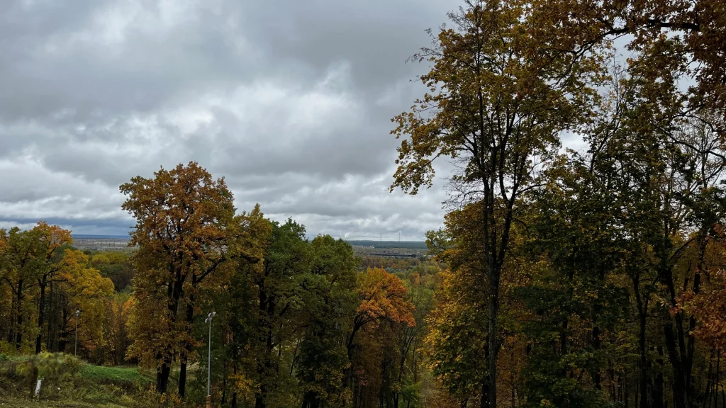 Брянск вошел в ТОП-5 российских городов с самым чистым воздухом