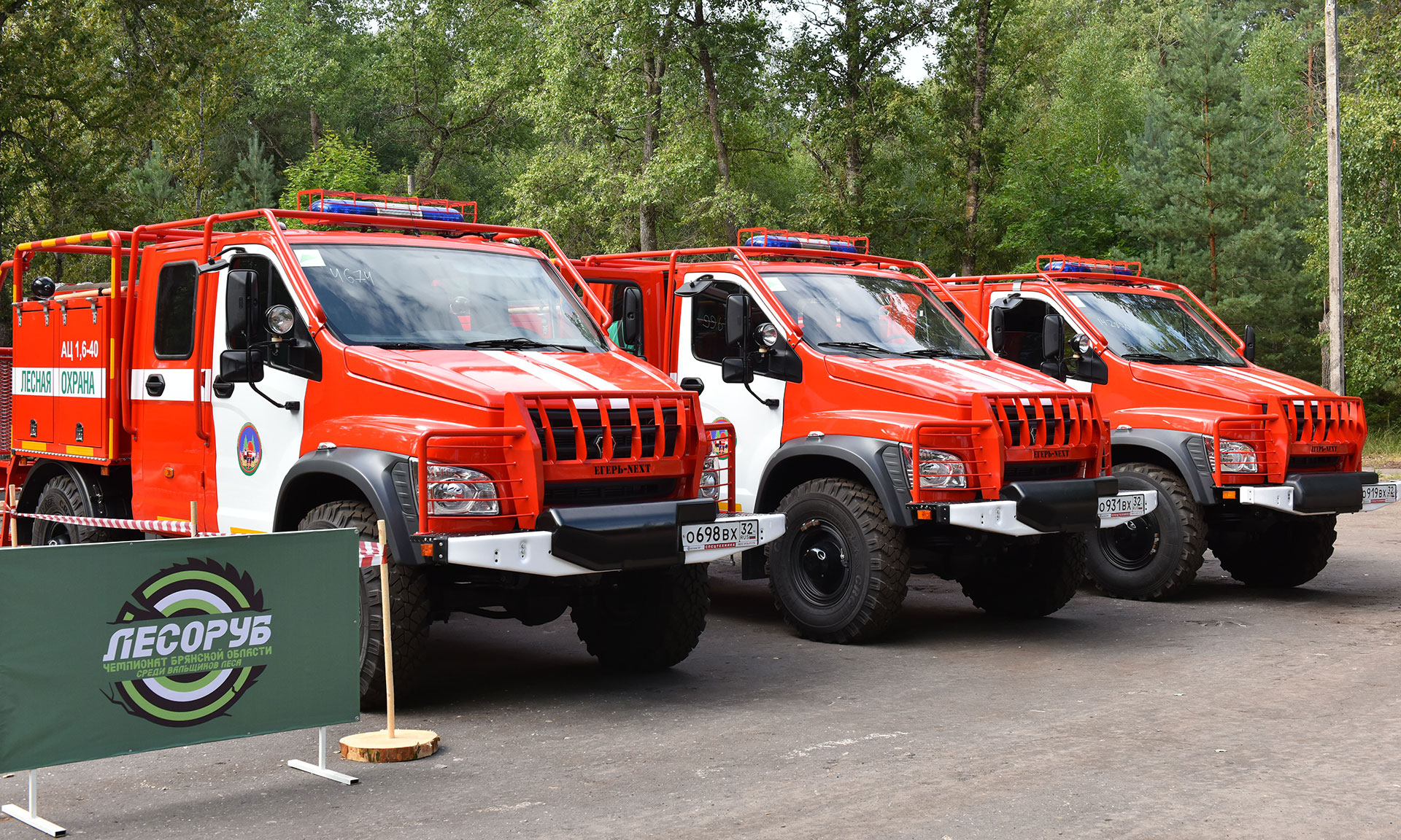 В Брянской области в рамках национального проекта «Экология» эффективно решается задача по защите лесов