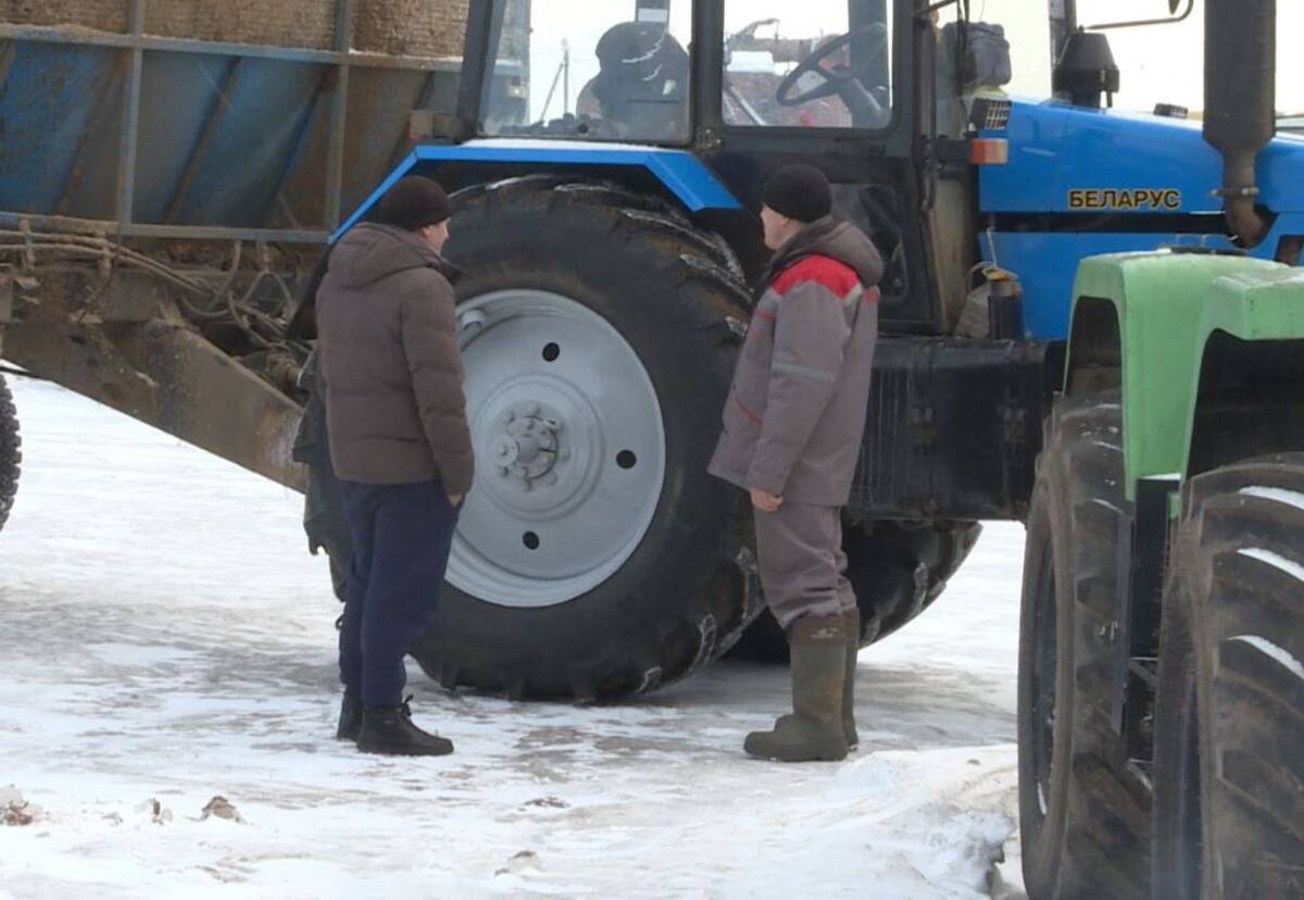 Молодые аграрии Брянщины получают финансовую поддержку