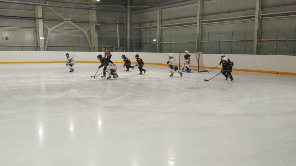 В Стародубе скрестили клюшки брянские и гомельские хоккеисты