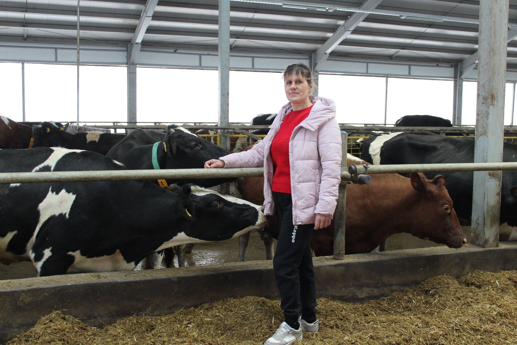 Оператор машинного доения Карачевского АО «Железнодорожник» рассказала о труде доярок