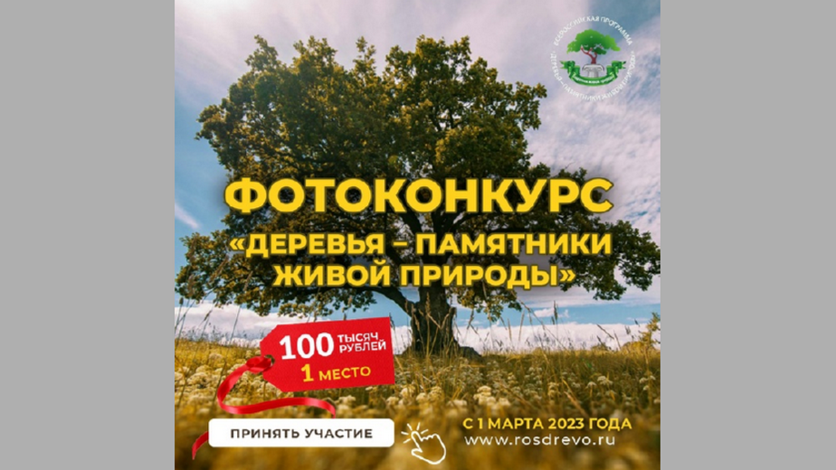 Брянцам объявили о старте всероссийского фотоконкурса «Деревья – памятники живой природы»