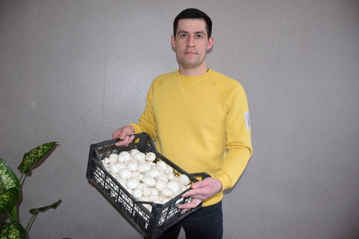 В Климовском районе  в грибоводческом комплексе выращивают шампиньоны