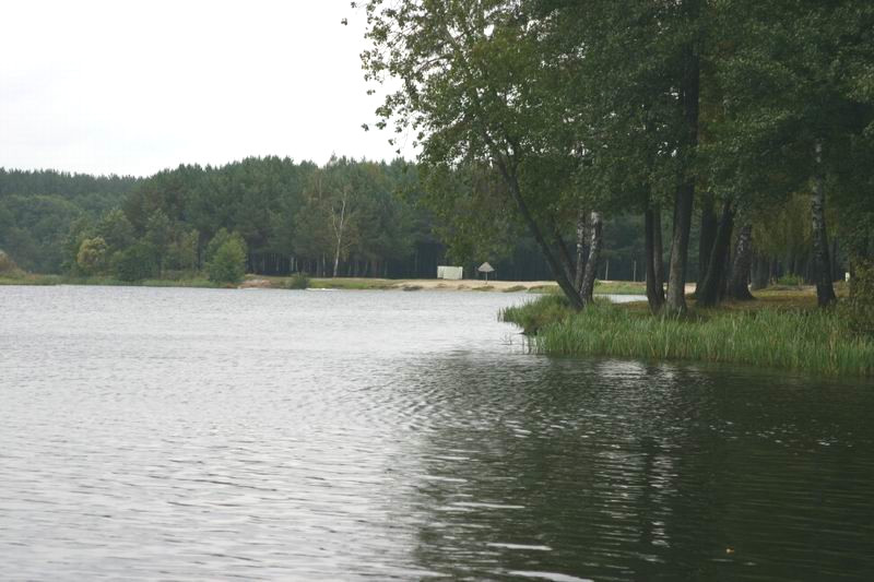 В этом году по нацпроекту благоустроят 5 территорий в  Брянской области