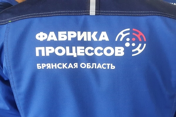 Фабрика процессов Брянской области-как это работает