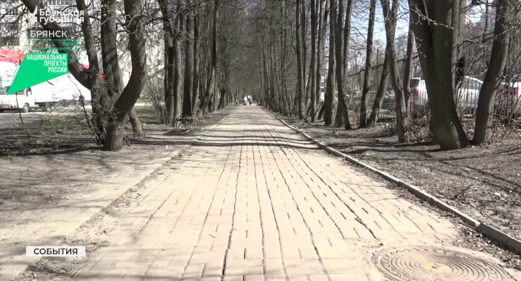 Жителям Брянска предложили для благоустройства липовую аллею