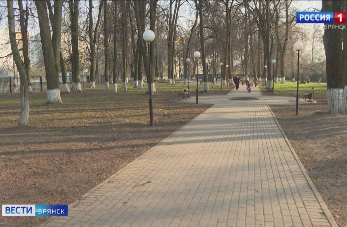 За 5 дней за объекты благоустройства проголосовали около 10 тысяч жителей Брянщины