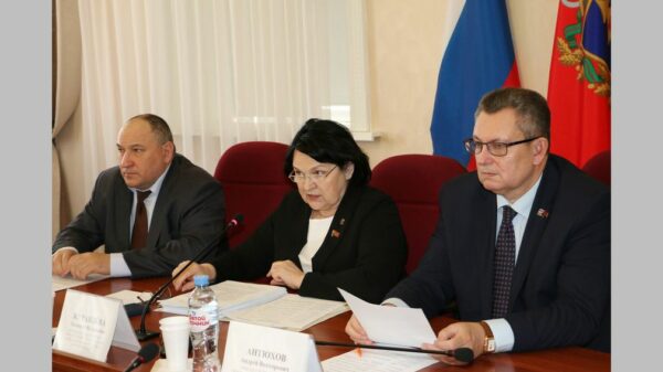 Более 47 тыс.   ребят Брянщины отдохнут  летом в лагерях и санаториях