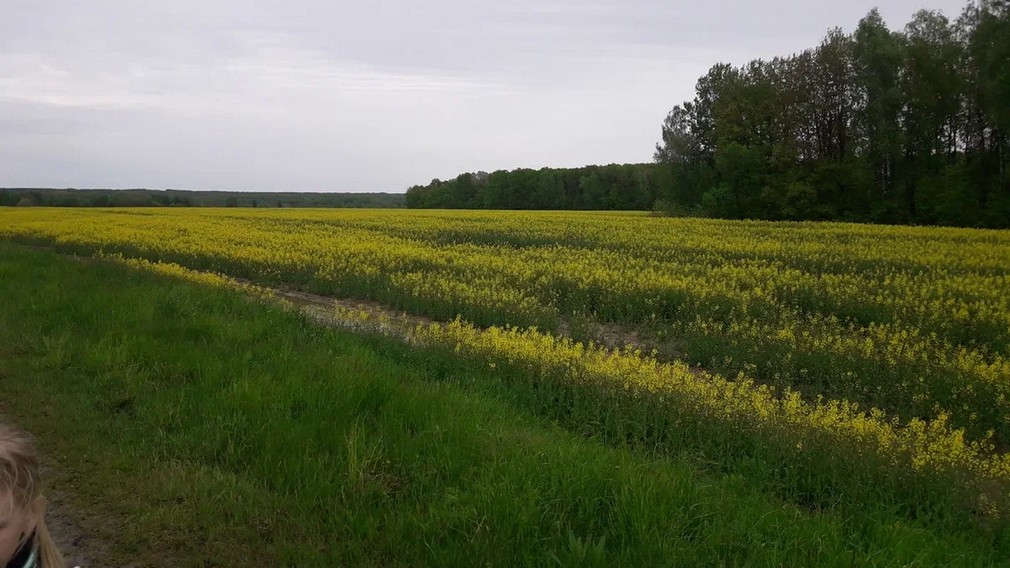 В Брянской области прошло совещание по итогам весенних полевых работ